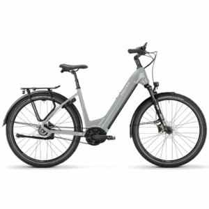 Falter E 9.3 RT 500 2025 50CM